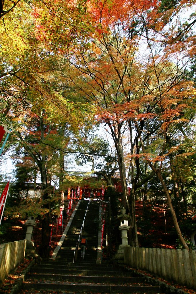 Bishamondo