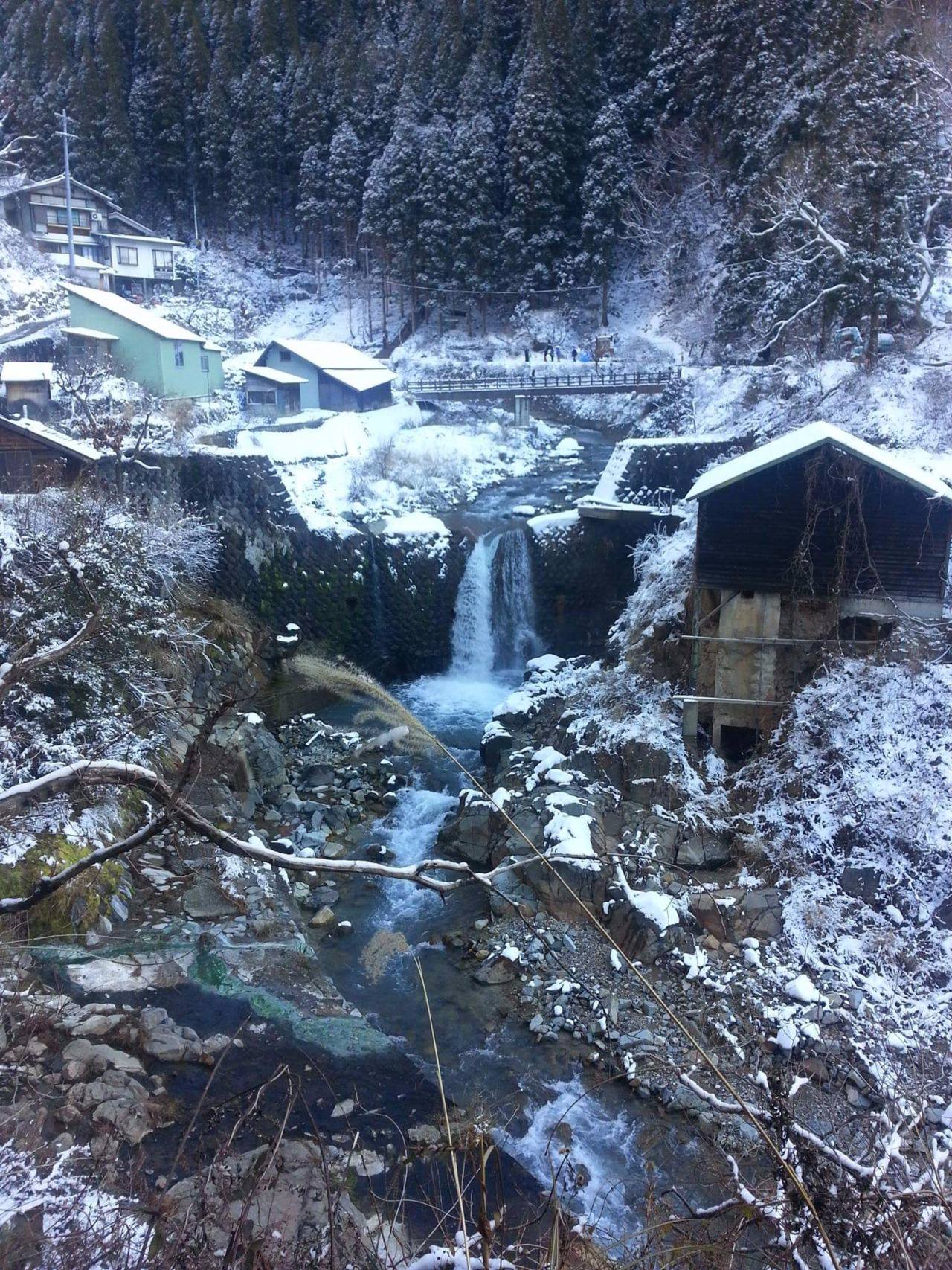 The Jigokudani Yaen-koen