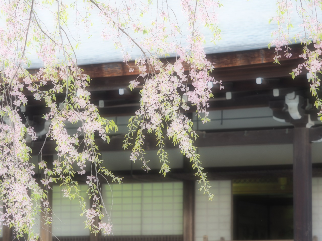 Tenryuji Temple